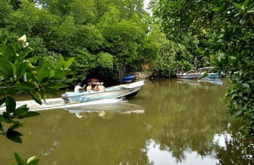 Riverdale Eco Resort Beruwala Εξωτερικό φωτογραφία