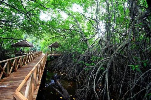 Riverdale Eco Resort Beruwala Εξωτερικό φωτογραφία